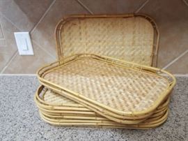 Picnic Trays https://ctbids.com/#!/description/share/32167