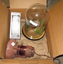 Taxidermy, railroad lantern