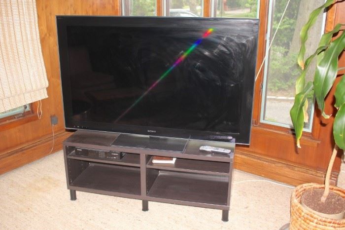Sony Flat Screen TV and Media Table
