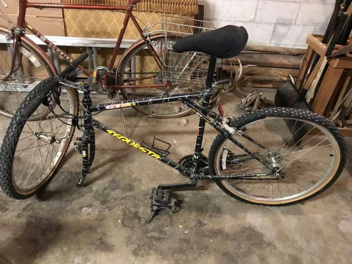 $35 bike
