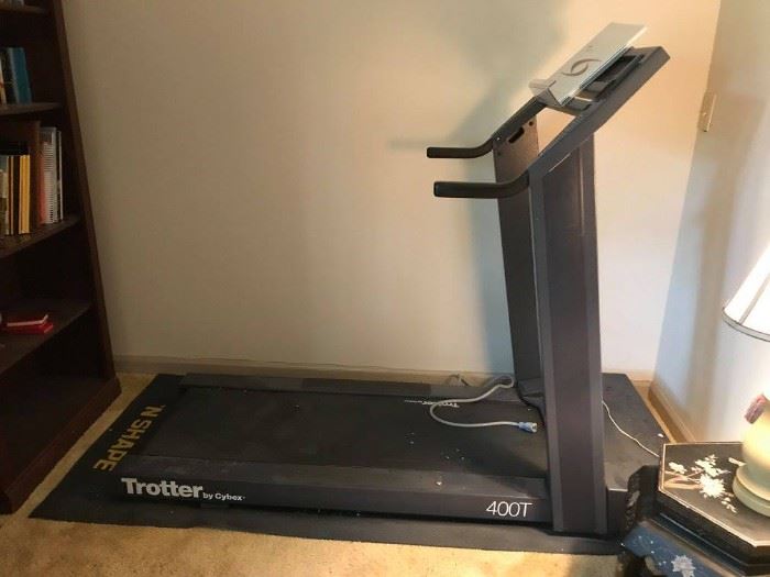 #173	Trotter by Cybex 400T Treadmill	 $30.00 
