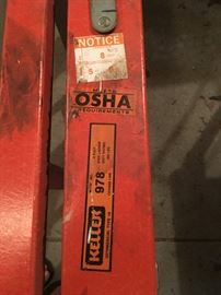 Multiple ladders at this sale..Some very tall ones too