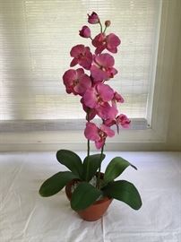 Tall Artificial Orchid    https://ctbids.com/#!/description/share/32333