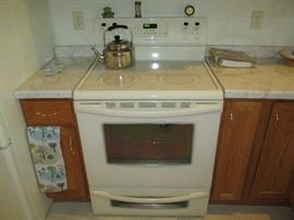 Cooking with electricity. Frigidaire Gallery series electric range