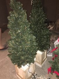 Christmas - several trees