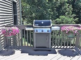 Weber grill