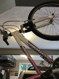 Schwinn Bike 