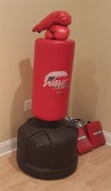 Wave Master Boxing Set with Gloves