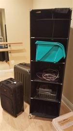Luggage and Storage Bin