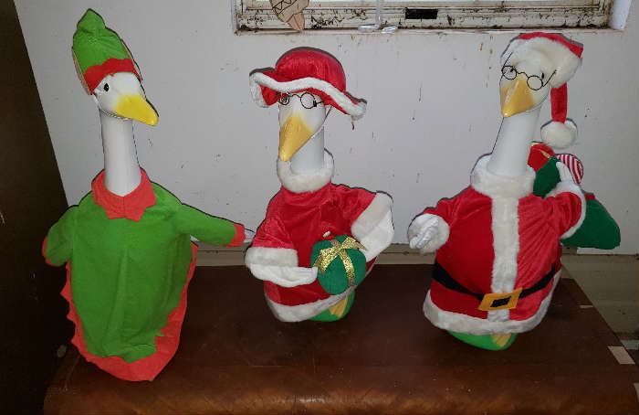 Ducks and Duck Outfits for different Holidays