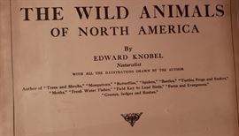 photographs wild animals