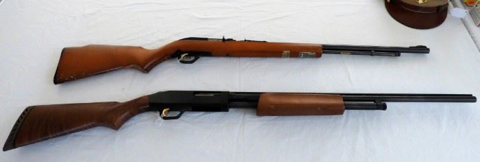 Top :  Marlin .22 semi-auto Model 60     
Bottom: Mossberg .410 pump shotgun Model 500E