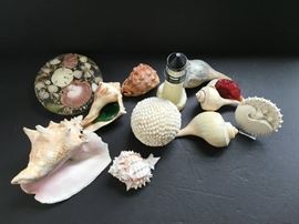 Old Spice Lighthouse Decanter Glass, Trivet, Shells   https://ctbids.com/#!/description/share/33112