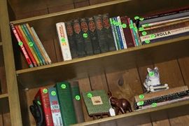 Just a few of the books in book cases.