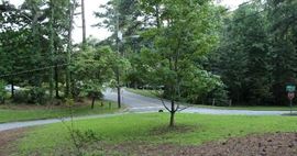 View of the front yard. House is also for sale. If you are interested I will be happy to take your name and let owner know.