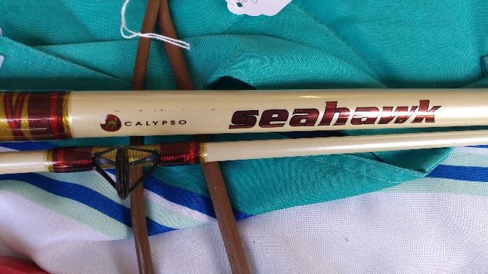 Seahawl by Calypso fishing rod