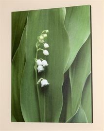 This is an awesome piece of art, and quite large