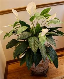 Pretty pot with plant.