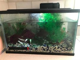 Fishies need to find a new home