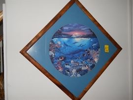 framed colorful underwater scene