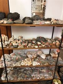 rocks and shells