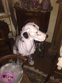 porcelain dalmation large dog