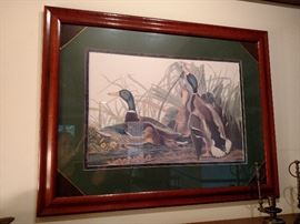 Framed Duck print
