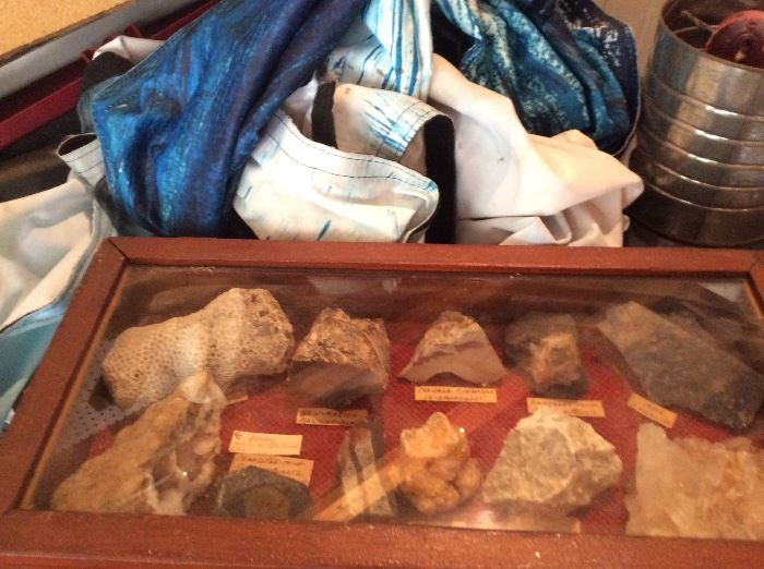 ONE OF OVER 20 DISPLAY BOXES FULL OF COLLECTED ROCK SPECIMENS, FOSSILS, GEODES, PETOSKY STONES