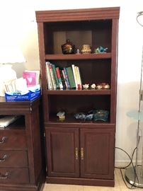 Bookcase with storage ( 2 available )