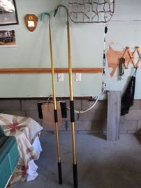 Shark fishing anyone??