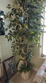 large artifical plant