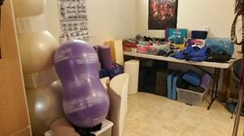 balance / fitness balls