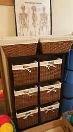 storage bins with bookcase  - extra basket bins - skeletal system poster
