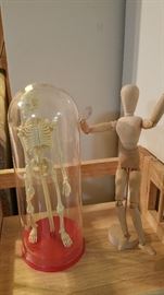 plastic skeleton and wooden guy.  completely different but they get along.
