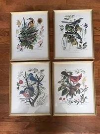 Set of four bird prints