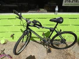 Road master mountain bike.