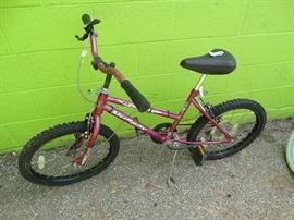 Murray climber mountain bike