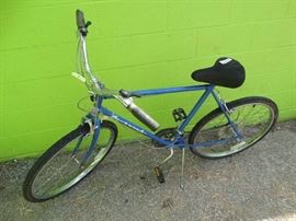 Huffy adult bike.