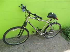 Huffy mountain bike adult.