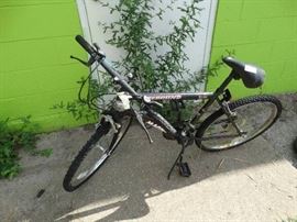 Rebound mountain bike.