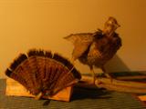TAXIDERMY PARTRIDGE