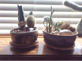 Metal Rack and Cactuses                  https://ctbids.com/#!/description/share/33828