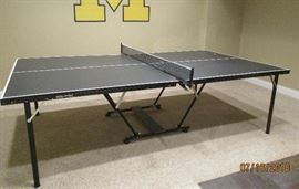 ping pong table