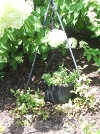 Tripod with cast iron pot