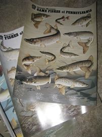 Pennsylvania Fish posters