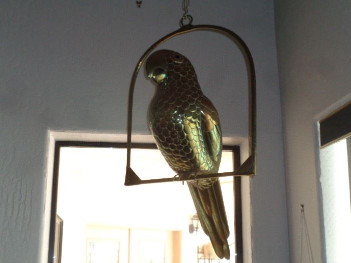 Large hanging Parrot