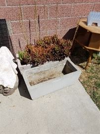 Concert planters one empty and one with plants