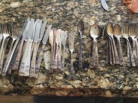 COMMUNITY PLATE SILVERWARE SET