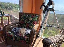 Telescope and Wicker 