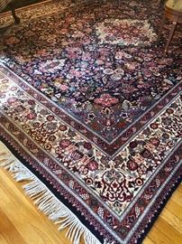 Here is a better shot of this pretty rug